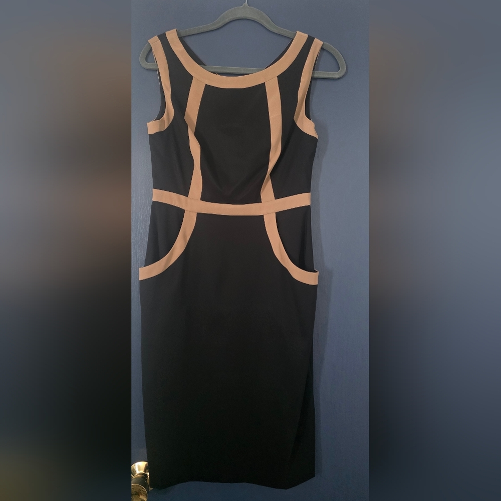 Eye-poppingly Elegant Black and Tan Dress